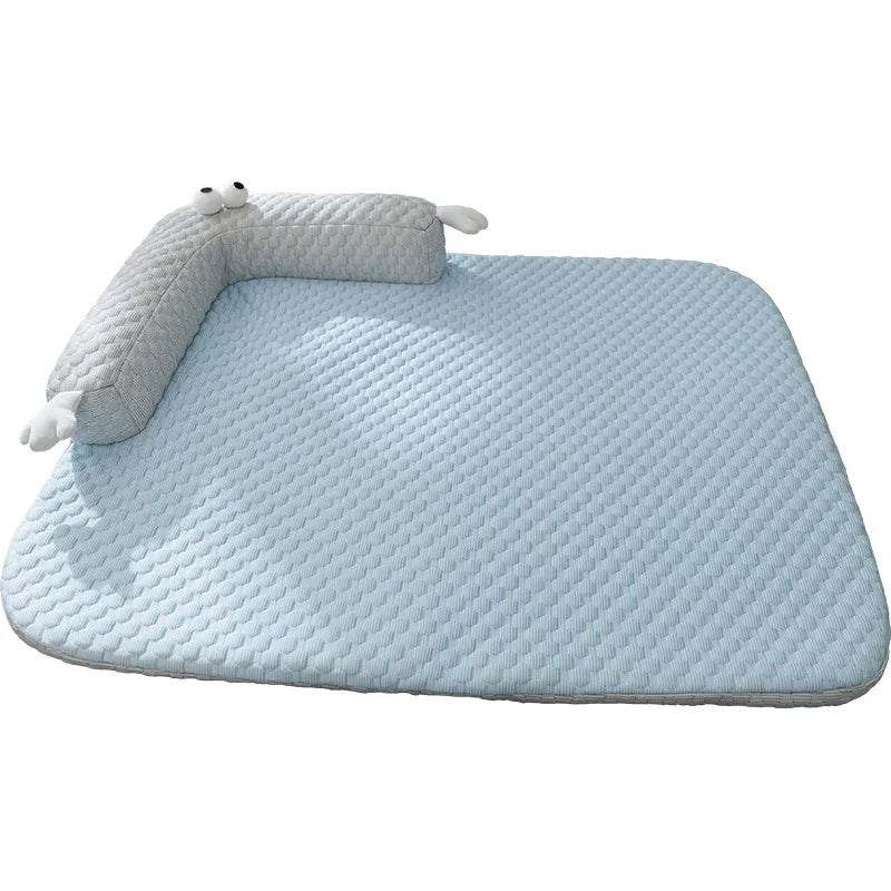 Summer Big Eyed Monster Pet Mat